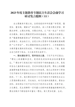 2023年度主题教育专题民主生活会会前学习研讨发言提纲（11）