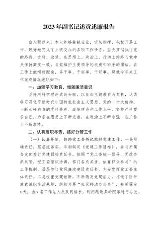 2023年副书记述责述廉报告