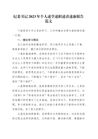 2023年个人述学述职述责述廉报告工作总结汇报