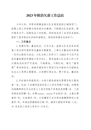 2023年根治欠薪工作总结