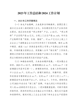 2023年工作总结和2024工作计划（20231226）