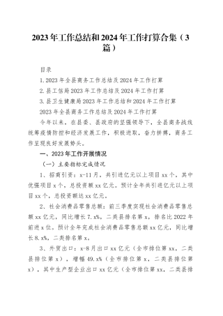 2023年工作总结和2024年工作打算合集（3篇）