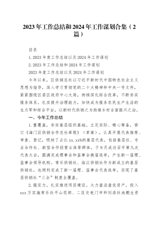 2023年工作总结和2024年工作谋划合集（2篇）