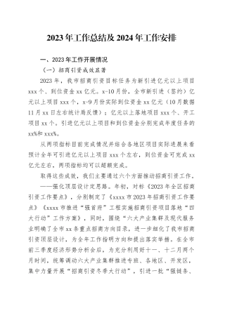 2023年工作总结及2024年工作安排（20231120）