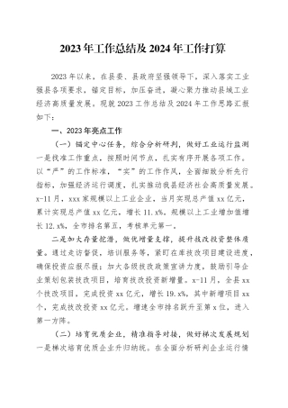 2023年工作总结及2024年工作打算（20240105）