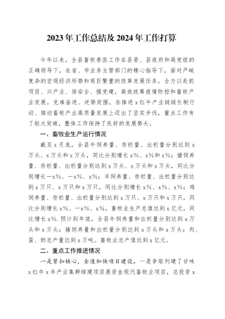 2023年工作总结及2024年工作打算
