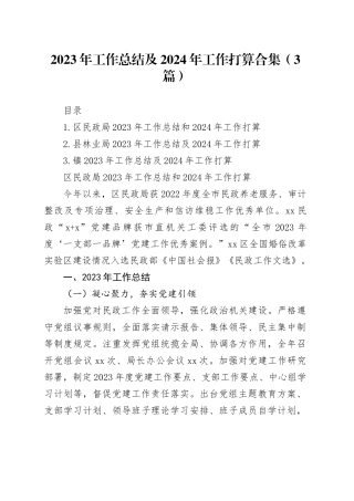 2023年工作总结及2024年工作打算合集（3篇）