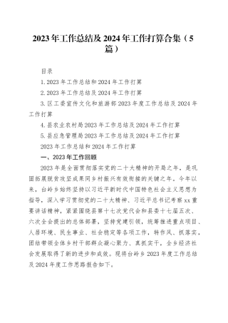 2023年工作总结及2024年工作打算合集（5篇）