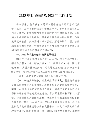 2023年工作总结及2024年工作计划（20240102）