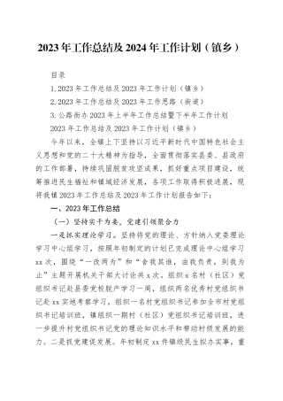 2023年工作总结及2024年工作计划（镇乡）