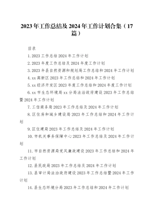 2023年工作总结及2024年工作计划合集（17篇）