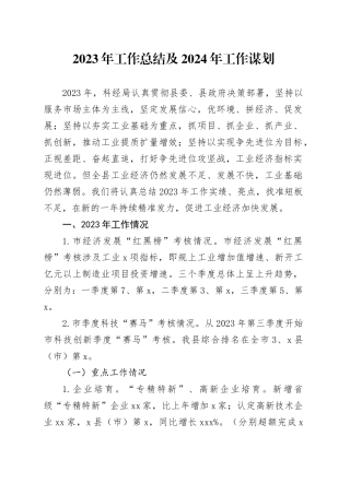 2023年工作总结及2024年工作谋划（20231214）