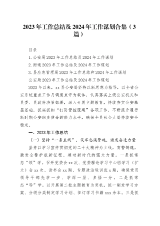 2023年工作总结及2024年工作谋划合集（3篇）