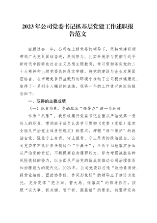 2023年公司党委书记抓基层党建工作述职报告国有企业总结汇报20231213