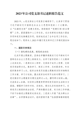 2023年公司党支部书记述职报告党建含问题20240117