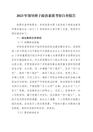 2023年领导班子政治素质考察自查报告