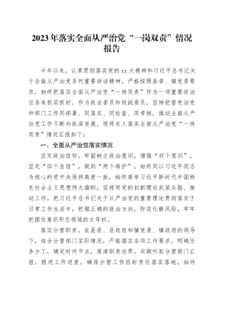 2023年落实全面从严治党“一岗双责”情况报告
