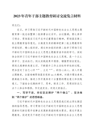2023年青年干部主题教育研讨交流发言材料