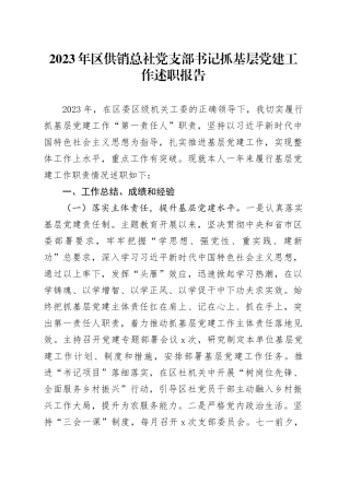 2023年区供销总社党支部书记抓基层党建工作述职报告