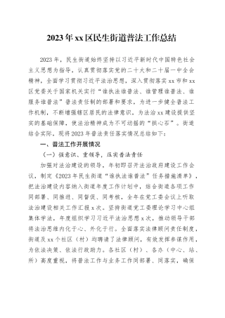 2023年区民生街道普法工作总结（20231129）