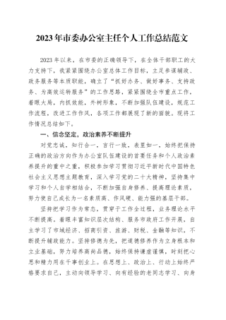 2023年市办公室主任个人工作总结委述职述责述廉报告汇报年度考核