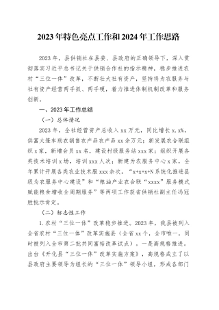 2023年特色亮点工作和2024年工作思路（20231212）