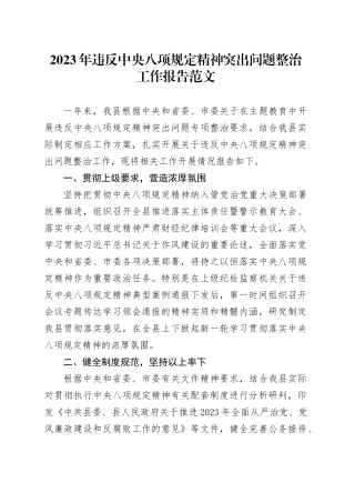 2023年违反八项规定精神突出问题整治工作报告总结汇报