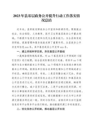 2023年县基层政务公开提升行动工作落实情况总结(1)