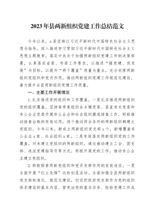 2023年县两新组织党建工作总结汇报报告231204