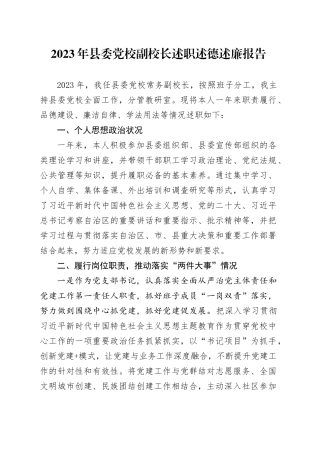 2023年县委党校副校长述职述德述廉报告