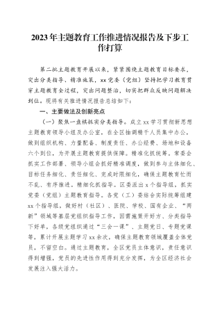 2023年主题教育工作推进情况报告及下步工作打算