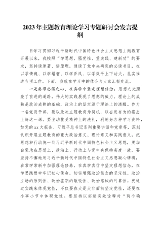 2023年主题教育理论学习专题研讨会发言提纲 （12）