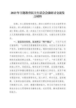 2023年主题教育民主生活会会前研讨交流发言材料