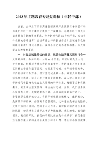 2023年主题教育专题党课稿（年轻干部）