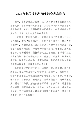 2024年机关党机关支部组织生活会表态发言