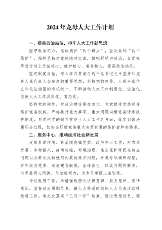 2024年龙母人大工作计划