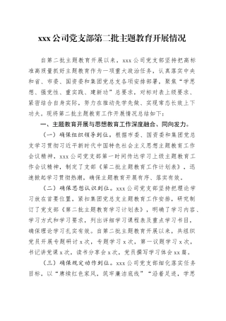 xx公司党支部第二批主题教育开展情况