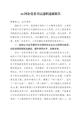 XX国企党委书记述职述廉报告