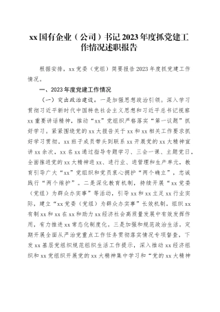 XX国有企业（公司）书记2023年度抓党建工作情况述职报告
