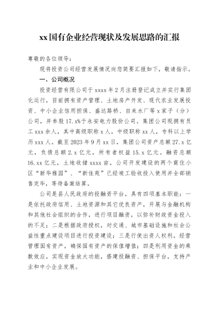 XX国有企业经营现状及发展思路的汇报