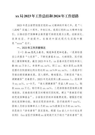 XX局2023年工作总结和2024年工作思路