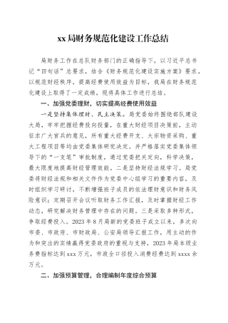XX局财务规范化建设工作总结