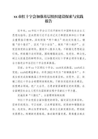 xx市红十字会加强基层组织建设探索与实践报告