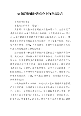 xx镇迎接审计进点会上的表态发言