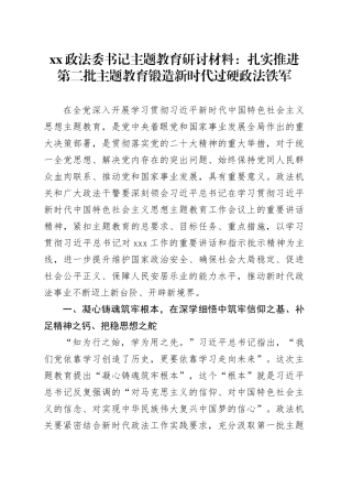 XX政法委书记主题教育研讨材料：扎实推进第二批主题教育 锻造新时代过硬政法铁军