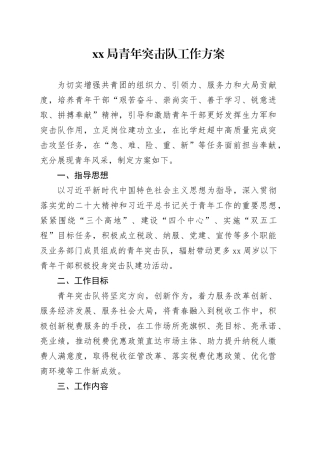 X局青年突击队工作方案