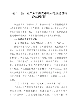 x县＂一县一点＂人才振兴市级示范点建设有关情况汇报