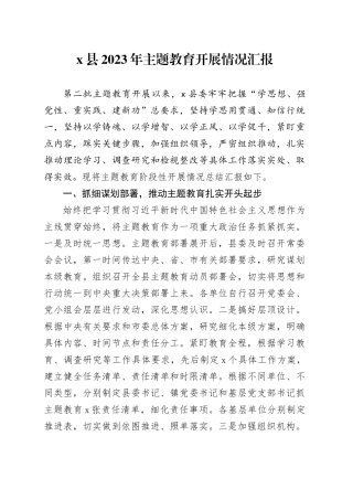 X县2023年主题教育开展情况汇报