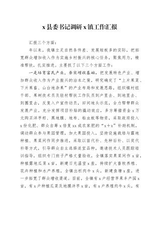x县委书记调研x镇工作汇报