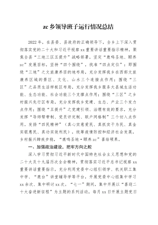 zc乡领导班子运行情况总结